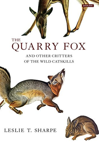 The Quarry Fox - and other Critters of the Wild Catskills