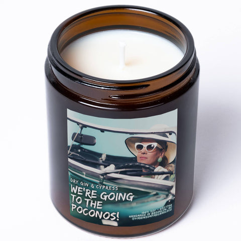 WE'RE GOING TO THE POCONOS! 🏔 (Gin & Cypress) Soy Candle