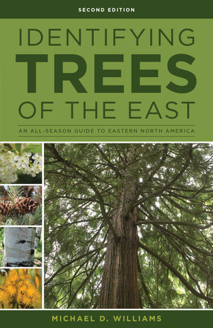 Identifying Trees of the East: An All-Season Guide to Eastern North America